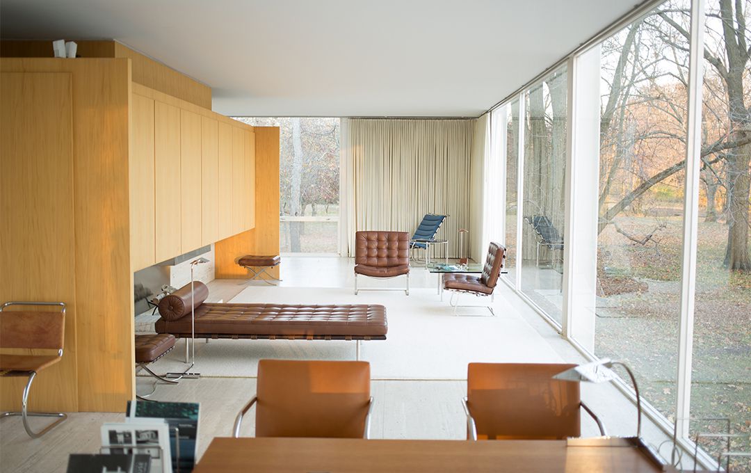 Quis ligula lacinia aliquet mauris ipsum